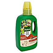 Pokon Mediterrane plantenmest (500 ml) | BAUHAUS