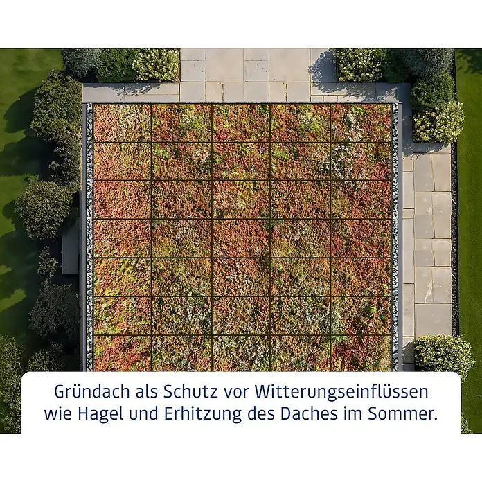 EcoStar Dachrahmen - Passend für: EcoStar Gerätehaus Typ 1, Rot - Gründach mit Sedum-Bepflanzung in Grün und Rot, schützt vor Witterung und Überhitzung des Daches.