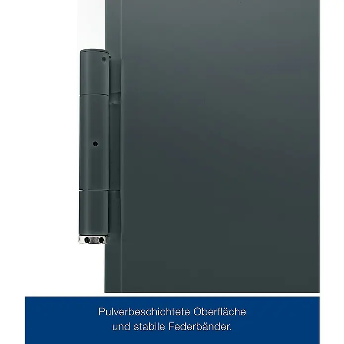Hörmann Mehrzwecktür - 87,5 x 200 cm, DIN Anschlag: Links/Rechts, Anthrazitgrau - Bild einer pulverbeschichteten Oberfläche mit stabilen Federbändern. Hochwertige Verarbeitung für lange Lebensdauer.