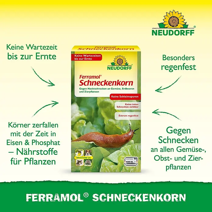 Neudorff Ferramol Schneckenkorn - 1,2 kg - Ferramol Schneckenkorn Packung mit Schnecke auf Salat. Wirksam, regenfest und sicher für Haustiere.