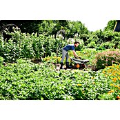 Worx Carretilla de obra Aerocart multifunción 8 en 1 (75 l, Acero, Capacidad de carga: 136 kg) | BAUHAUS