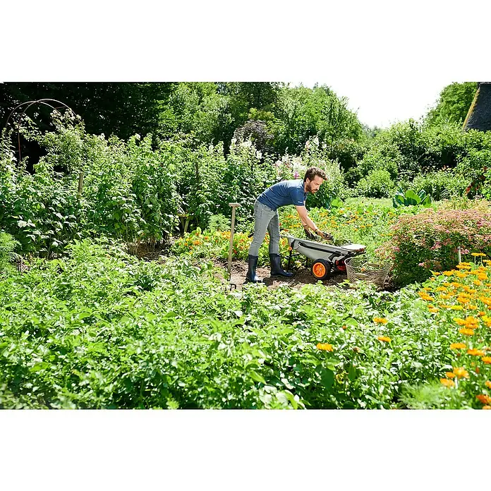 Worx Schubkarre Aerocart Multifunktion 8-in-175 l, Stahl, Traglast: 136 kg - Ein Mann beugt sich in einem üppigen Garten über einen Schubkarren. Er scheint Gartenarbeit zu verrichten, umgeben von Grün und Blumen.