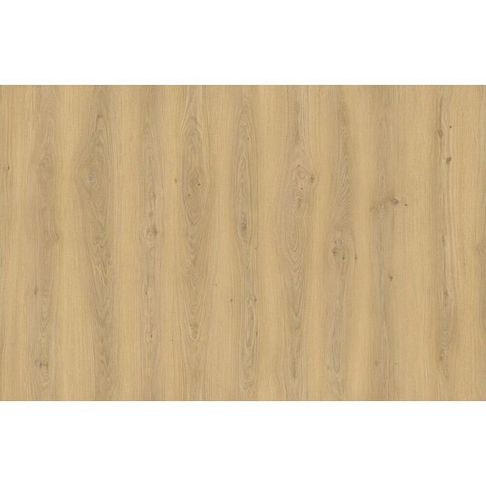 Laminado Gualdal (1.200 x 191 x 8 mm, Marrón, AC5, Resistente al agua) | BAUHAUS