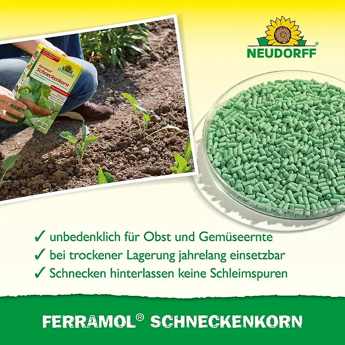 Neudorff Ferramol Schneckenkorn - 1,2 kg - Grüne Schneckenkorn-Pellets (Ferramol) in einer Schale und im Garten ausgebracht.