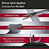 Paulmann ULine Gurtsystem (Länge: 5 m, Grau) | BAUHAUS