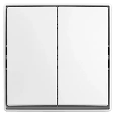 Busch-Jaeger  Serienschalter Safety+AP 202 EAPBJ-524