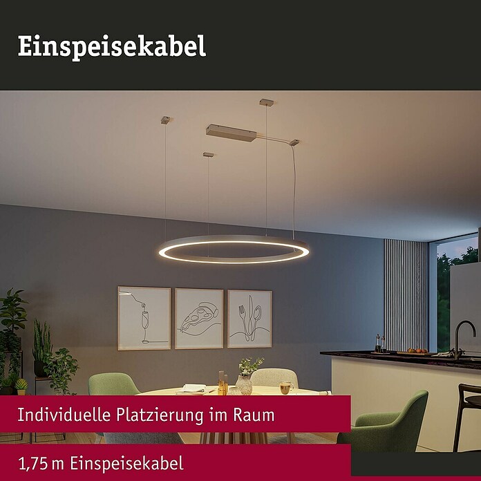 Paulmann Linion Einspeisekabel (175 cm, Grau) | BAUHAUS