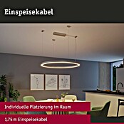 Paulmann Linion Einspeisekabel (175 cm, Grau) | BAUHAUS