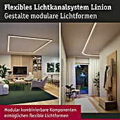 Paulmann Linion Stromeinspeisung Power Channel (100 x 4 x 4 cm, Chrom matt, Dimmbar) | BAUHAUS