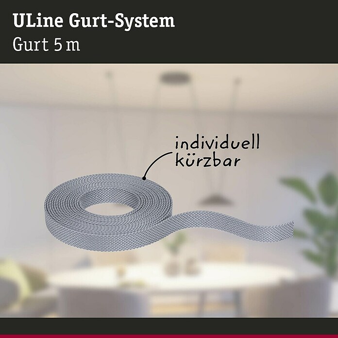 Paulmann ULine Gurtsystem (Länge: 5 m, Grau) | BAUHAUS