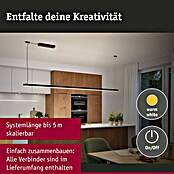 Paulmann Linion Stromeinspeisung Power Box (L x B x H: 10 x 36,5 x 4 cm, Signalschwarz, Nicht Dimmbar, 120 W) | BAUHAUS
