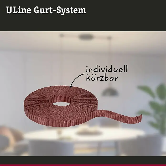 Paulmann ULine Gurtsystem - Länge: 10 m, Terracotta - ULine Gurt-System: Braunes, aufrollbares Gurtband, individuell kürzbar, ideal für vielfältige Anwendungen im Haushalt oder Gewerbe.