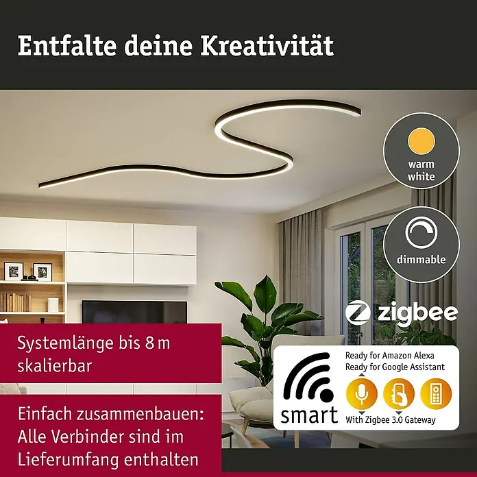 Paulmann Linion Stromeinspeisung Power Channel - 100 x 4 x 4 cm, Signalschwarz, Dimmbar - Elegante LED-Deckenleuchte mit warmweißem Licht, dimmbar und Smart Home-fähig, ideal für kreative Raumgestaltung.