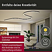 Paulmann Linion Stromeinspeisung Power Channel (100 x 4 x 4 cm, Signalschwarz, Nicht Dimmbar) | BAUHAUS
