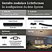 Paulmann Linion Stromeinspeisung Power Channel (100 x 4 x 4 cm, Signalschwarz, Dimmbar) | BAUHAUS