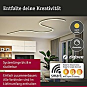 Paulmann Linion Stromeinspeisung Power Channel (100 x 4 x 4 cm, Chrom matt, Dimmbar) | BAUHAUS