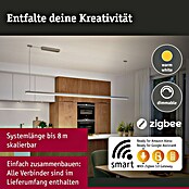Paulmann Linion Stromeinspeisung Power Box (L x B x H: 10 x 36,5 x 4 cm, Chrom matt, Dimmbar, 180 W) | BAUHAUS