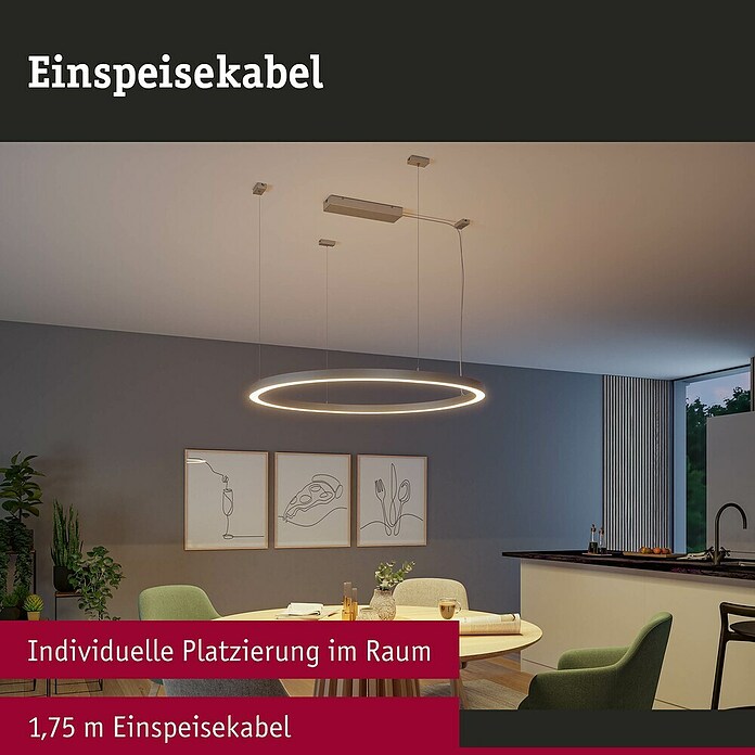Paulmann Linion Einspeisekabel (175 cm, Schwarz) | BAUHAUS