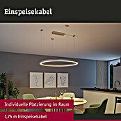 Paulmann Linion Einspeisekabel (175 cm, Schwarz) | BAUHAUS