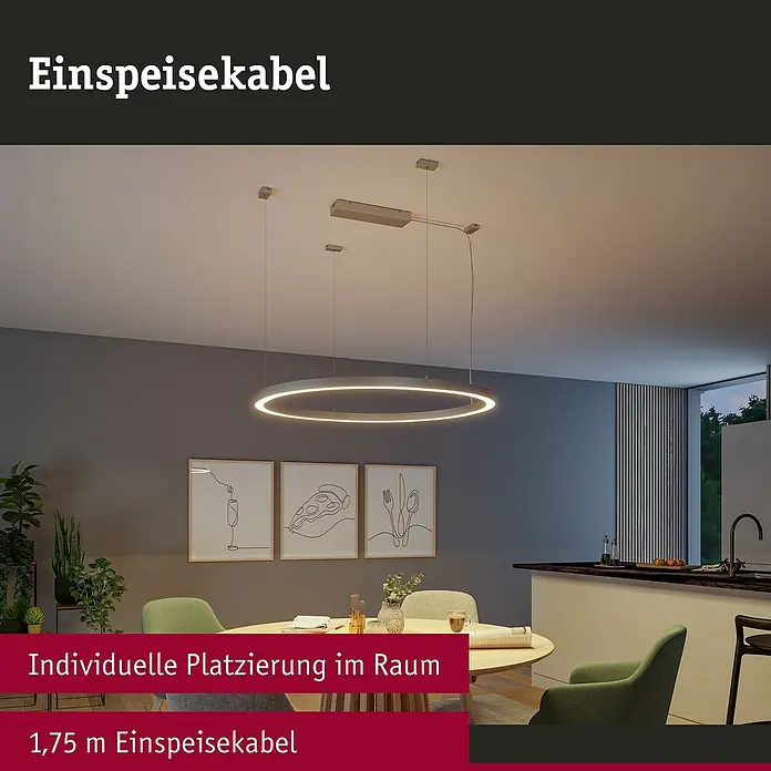 Paulmann Linion Einspeisekabel - 175 cm, Schwarz - Deckenleuchte mit ringförmigem Design, das moderne Ästhetik und helle Beleuchtung für den Essbereich vereint.