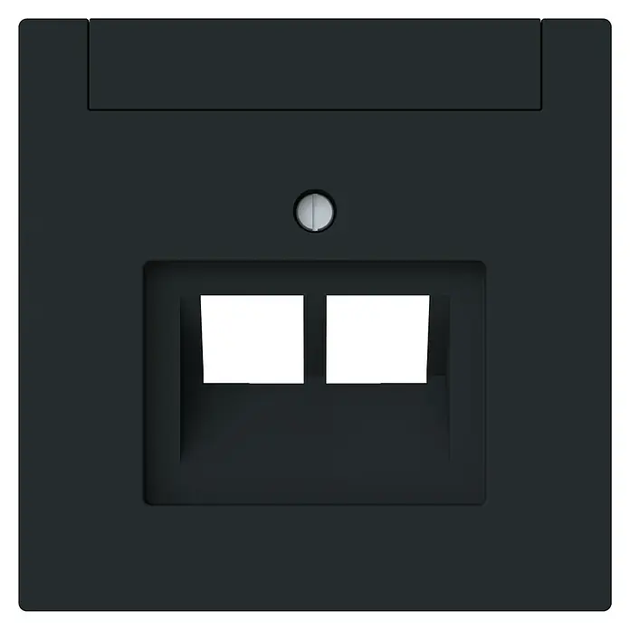Busch-Jaeger Art Linear UAE-Abdeckung 1803-02-45M - Schwarz matt, Kunststoff - Schwarze Doppel-Netzwerkdose für den einfachen Anschluss von Ethernet-Kabeln, robust und ideal für Büro- und Heimanwendungen.