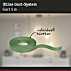 Paulmann ULine Gurtsystem (Länge: 5 m, Grün) | BAUHAUS