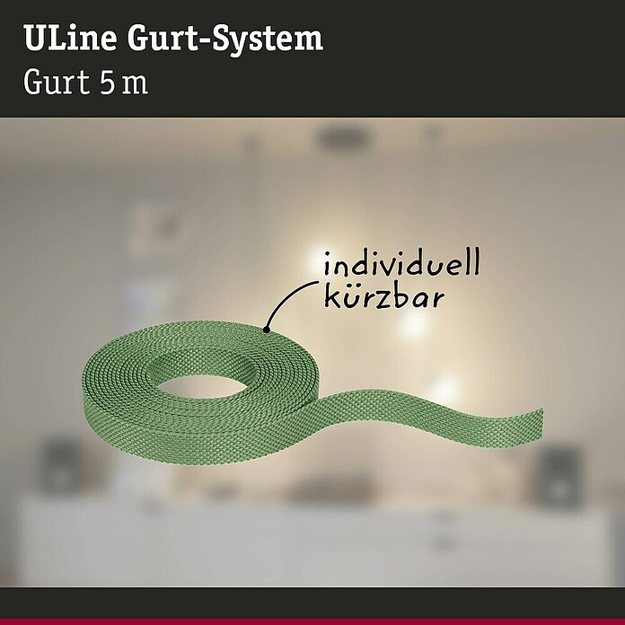 Paulmann ULine Gurtsystem (Länge: 5 m, Grün) | BAUHAUS