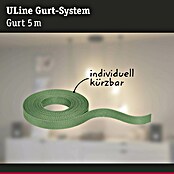 Paulmann ULine Gurtsystem (Länge: 5 m, Grün) | BAUHAUS