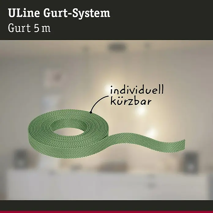 Paulmann ULine Gurtsystem - Länge: 5 m, Grün - ULine Gurt-System, Gurt 5 m. Das individuell kürzbare Gurt-System für vielfältige Anwendungen bietet Flexibilität und einfache Anpassung.
