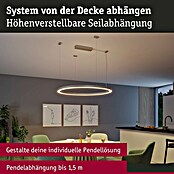 Paulmann Linion Abhängung Seil (L x B x H: 150 x 150 x 4 cm, Chrom matt) | BAUHAUS