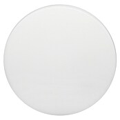 Tween Light LED okrogla stropna svetilka Massa  (24 W, Bela, Toplo bela) | 3016 - Deckenleuchte | CACB - Deckenleuchten | CAC - Indoorleuchten | CA - Beleuchtung | C - Elektro | BAUHAUS