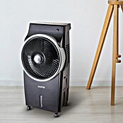 Rointe Climatizador evaporativo Coimbra (Negro, Altura: 72 cm, 95 W) | BAUHAUS