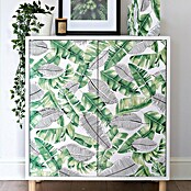 D-c-fix Rollo adhesivo vinílico Botánico Uva (200 x 45 cm, Verde, Autoadhesivo) | BAUHAUS