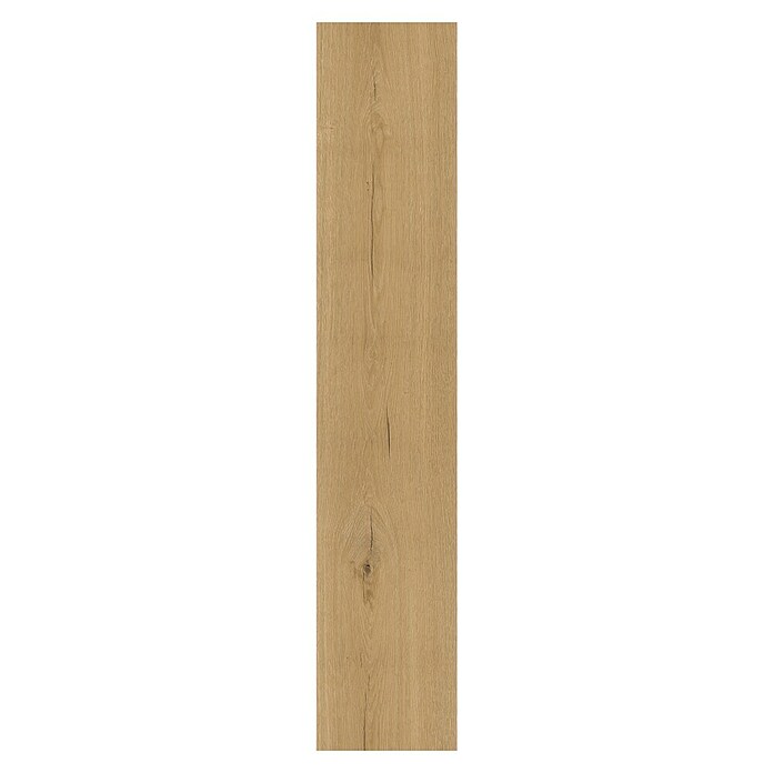 Vinylvloer Dryback (Planken, 1.220 x 229 x 2,5 mm, Burgund) | BAUHAUS