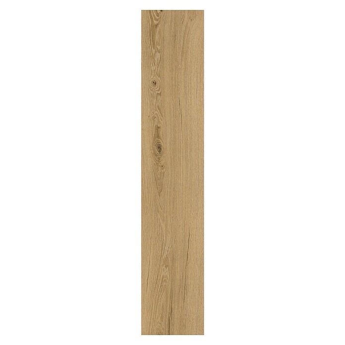 Vinylvloer Dryback (Planken, 1.220 x 229 x 2,5 mm, Burgund) | BAUHAUS