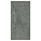 Vinylvloer SPC-tegel Garda (610 x 305 x 3,5 mm, Tegel) | BAUHAUS