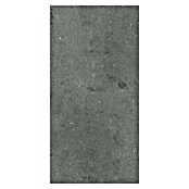 Vinylvloer SPC-tegel Garda (610 x 305 x 3,5 mm, Tegel) | BAUHAUS