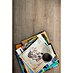 Egger Laminat NatureSense Lausanne svjetli hrast FL952 