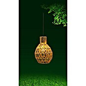 Starlux Viseča svetilka Rattan  (Š x Do: 14,5 x 21,5 cm, Rjava, IP44) | Solarne svetilke | Zunanja svetila | Elektro in svetila | Izdelki | BAUHAUS