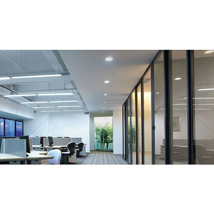 Tween Light Pack downlights LED (20 W, Ø x Al: 22 x 1,8 cm, Blanco, Blanco cálido, 3 ud.) | BAUHAUS