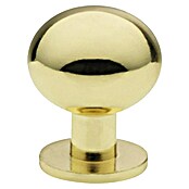 Siro Gumb za pohištvo  (Vrsta pohištvenega ročaja: Gumb, Do x Š x V: 18 x 15 x 27 mm, Jeklo, Pozlačeno) | 1150 - Möbelknöpfe und Griffe | AAEB - Möbelbeschläge | AAE - Beschläge | AA - Eisenwaren | A - Eisenwaren | BAUHAUS