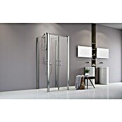 Camargue Vario Duschwand für Doppelpendeltür S36 (80 x 195 cm, Beschichtet, Stärke: 6 mm, Silber)