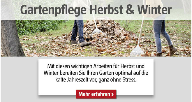 Gartenpflege im Herbst und Winter