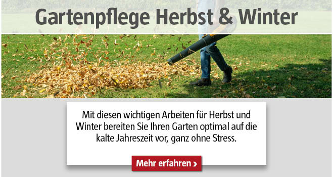 Gartenpflege im Herbst und Winter