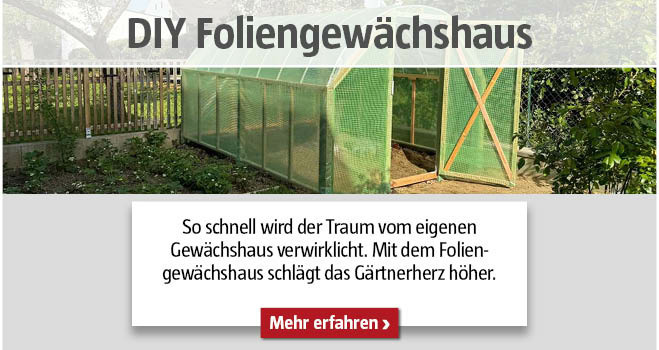 DIY Foliengewächshaus