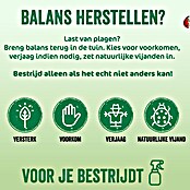ECOstyle Insectenspray FreezeSpray Kruipende Insecten (500 ml) | BAUHAUS