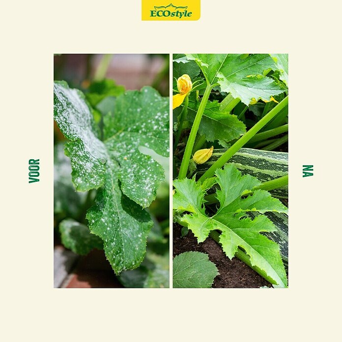 ECOstyle Bodemverbeteraar Lavameel (1.600 g) | BAUHAUS