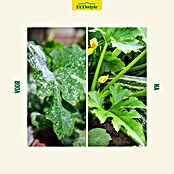 ECOstyle Bodemverbeteraar Lavameel (1.600 g) | BAUHAUS