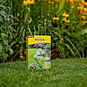 ECOstyle Bodemverbeteraar Lavameel (1.600 g) | BAUHAUS