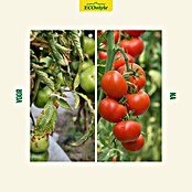 ECOstyle Bio-tomaten- en moestuingrond Moestuin-AZ+ (1.600 g, Max toepassingsvlak: 30 m²) | BAUHAUS
